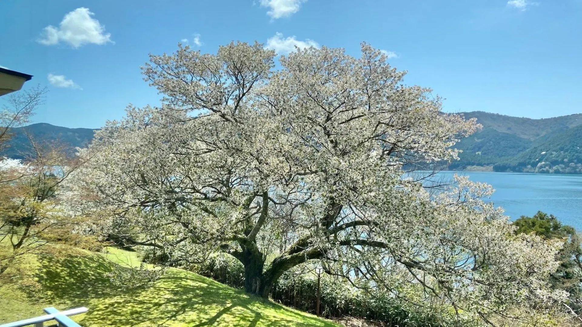 Ryuguden Hotel Hakone Ryokan
